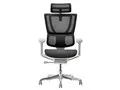 Ergohuman FIT2 FIT2-HAM-DR-GF