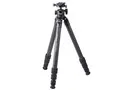 Carmagne N643 MT (A70)