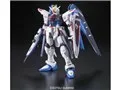 RG 1/144 機動戦士ガンダムSEED フリーダムガンダム