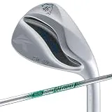 DW-123 ウェッジ [NS PRO 950GH neo フレックス：W ロフト：46]