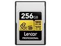 LCAEXG4256G-RNENJ [256GB]