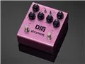 DIG V2