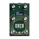 ORCA DELAY