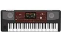 Pa700 Professional Arranger