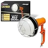 PROLEDS LWT-5500CK