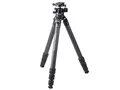 Carmagne N743 MT (A70)