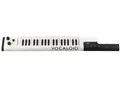 VOCALOID Keyboard VKB-100