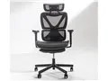COFO Chair Pro