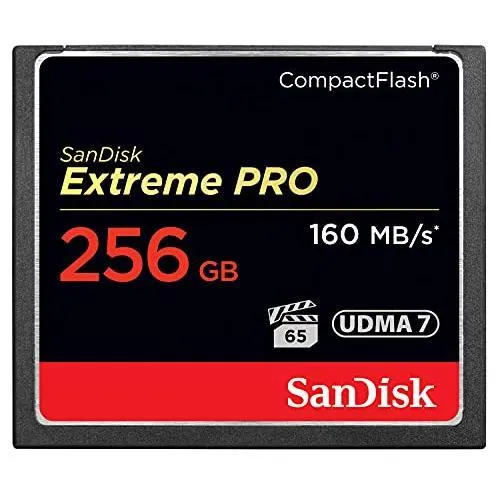 SDCFXPS-256G-X46 [256GB]