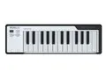 MICROLAB BK [ブラック]