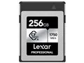 LCXEXSL256G-RNENG [256GB]