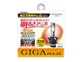 GH244 [HID ホワイト 4400K D2S/D2R]