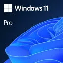 Windows 11 Pro 64bit 日本語 DSP版