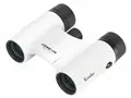 Classi-air 8x21DH MC-WH [ホワイト]