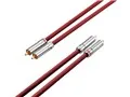 Reference Red RCA [1m]