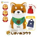 こんにちワン！しばいぬコウタ