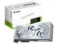 AORUS GV-N5090AORUSST ICE-32GD [PCIExp 32GB]