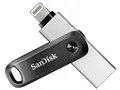 SDIX60N-256G-GN6NE [256GB]