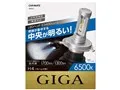 ギガ BW541 [LED ホワイト 6500K H4]