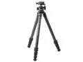 Carmagne N543 MT (A70)