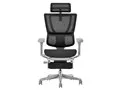 Ergohuman FIT2 Ottoman FIT2-LPL-5D-DR-GF
