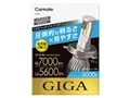 ギガ BW551 [LED ホワイト 6000K H4]