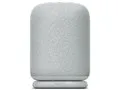 LinkBuds Speaker SRS-LS1