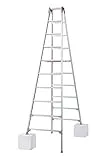 RYZ-30c