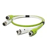 d+ XLR class B [2m]
