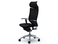 Baron CP81BR