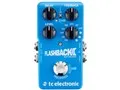 FLASHBACK 2 DELAY