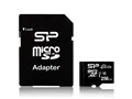 SP256GBSTXBU1V10SP [256GB]