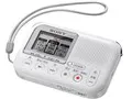 ICD-LX31