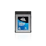 Atlas Pro OWCCFXB4P00256 [256GB]