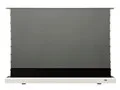 FTE100XH2-CLR3 [100インチ スターブライトCLR ホワイト]