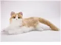 しっぽふりふり あまえんぼうねこちゃん [ミックスブラウン]