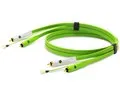 d+ RCA for Turn Table class B [2m]