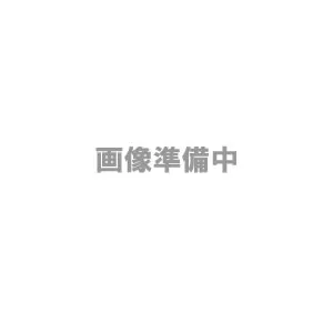 Eufy Smart Scale P3