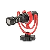 VideoMicro