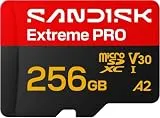 SDSQXCJ-256G-GS6MA [256GB]