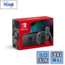 Nintendo Switch HAD-S-KAAAH [グレー]
