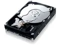 HD103SJ (1TB SATA300 7200)