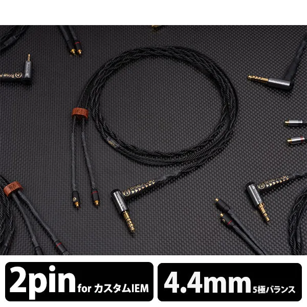 ASUHA Ref.2 ASUER2L5442P 4.4mmバランス(5極)⇔2ピン [1.2m]