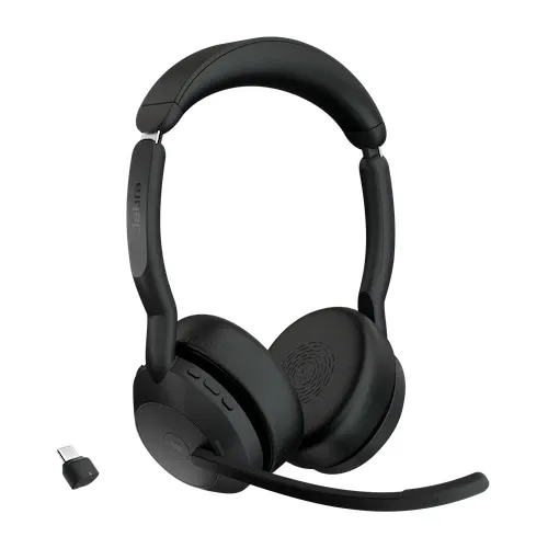 Evolve2 55 - Link380c MS ステレオ