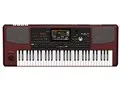 Pa1000 Professional Arranger