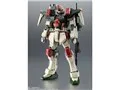 ROBOT魂 <SIDE MS> GAT-X103 バスターガンダム ver. A.N.I.M.E.