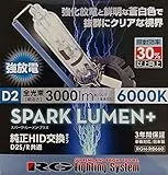 RACING GEAR RGH-RB660 [HID 蒼白 6000K D2S/D2R]