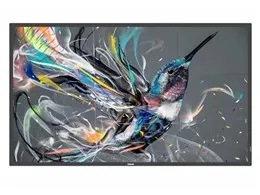 65BDL3511Q/11 [64.5インチ]