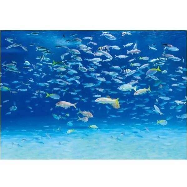 サンゲツ デジタルプリント壁紙 リザーブ（HIGH GRAFICA）風景写真 サンシャイン アクアリウム#1 Sサイズ（2巾） W1800mm×H1250mm HZ-7037S