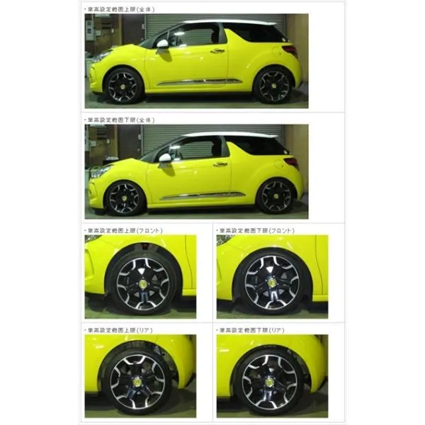 Citroen DS3 ABA-A5C5F04 フルタップ式車高調 ストラット径：51mm車専用